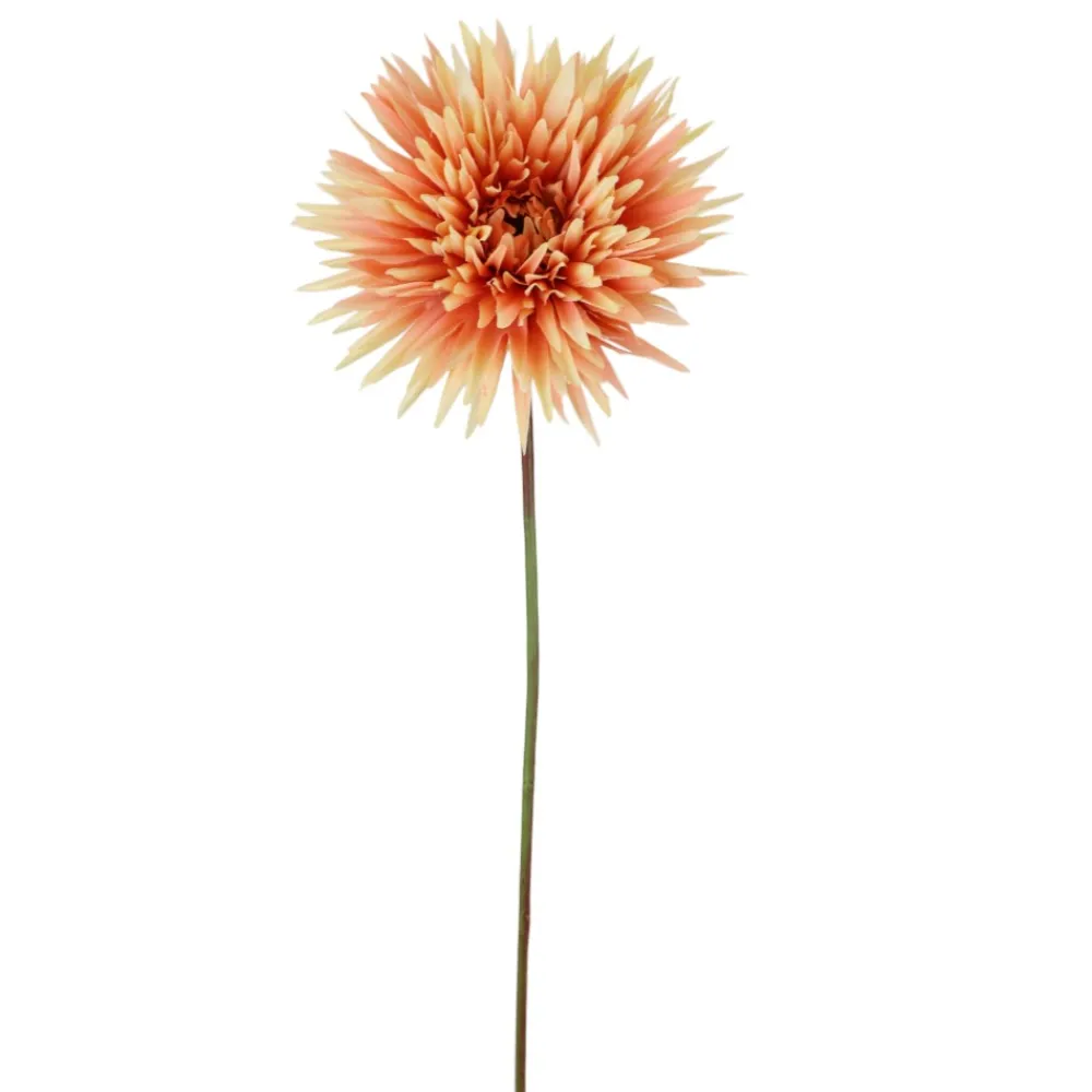 Direct Export Co. Apricot Shasta Daisy Stem