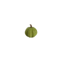 Two's Company Autumn Allure Basket Weave Pattern Pumpkin