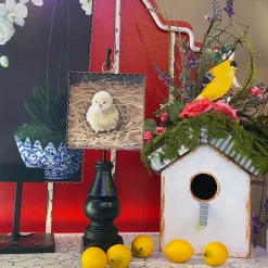 The Round Top Collection Baby Chick Mini Gallery Art