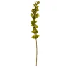 RAZ Bells of Ireland Stem