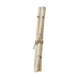 RAZ Birch Stick Bundle, 26"