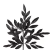 Direct Export Co. Black Bay Leaf Glitter Spray