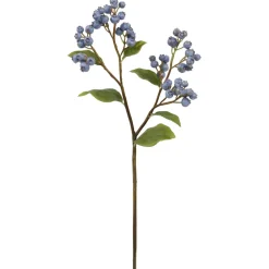 Winward Blueberry Stem