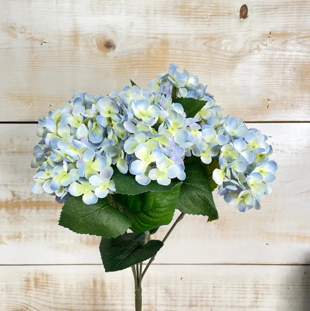 CRI Blue Hydrangea Bush