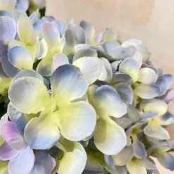 CRI Blue Hydrangea Bush