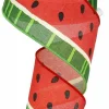 Craig Bachman Bold Watermelon Ribbon 2.5"X50YD