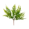 Craig Bachman Brake Fern Leaf Bush