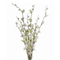 CRI Cherry Blossom, Cream