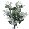 Direct Export Co. Cream Eucalyptus Berry Bush