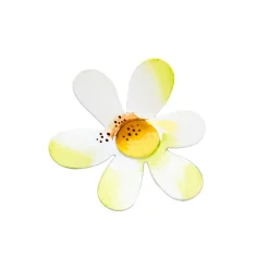 The Round Top Collection Daisy Magnet