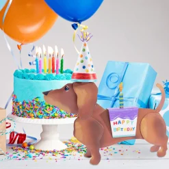 The Round Top Collection Dress Up Pet, Birthday Costume