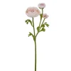 Winward Dusty Peach Ranunculus Spray, 22.5"