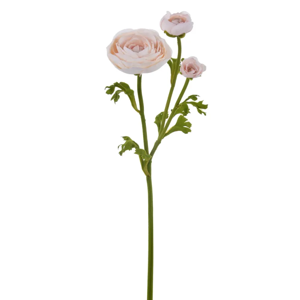 Winward Dusty Peach Ranunculus Spray, 22.5"