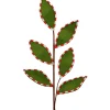 Regency Felt Leaf with Peppermint Edge Spray