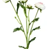 Liberty Floral Five Bloom Ranunculus Spray