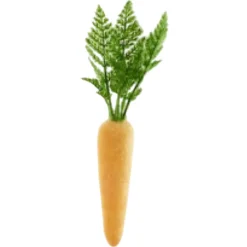 180 Degrees Flocked Colored Carrot