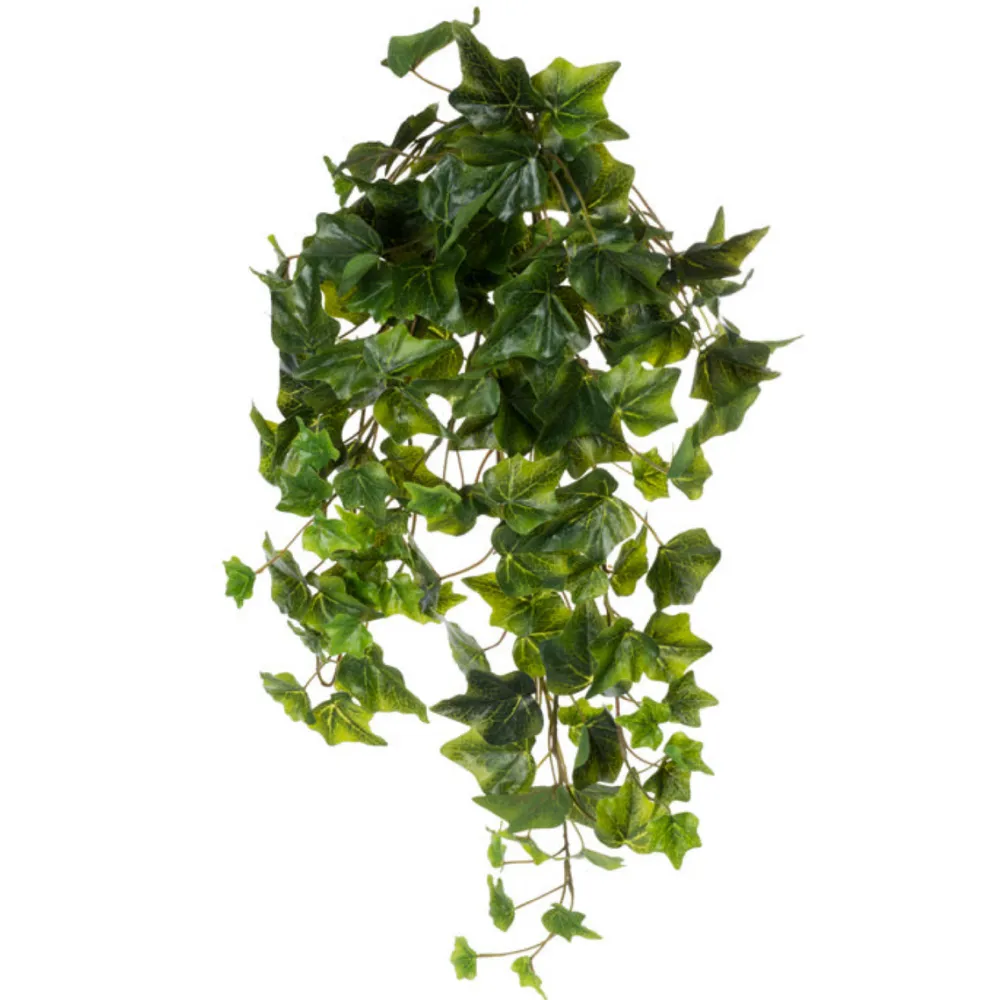 CRI Green Hanging Ivy Varigated, 28"