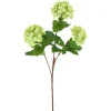 Direct Export Co. Green Viburnum Spray