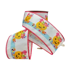 D. Stevens Grosgrain Halloween Candy Pumpkin Ribbon, 2.5" X 10YD