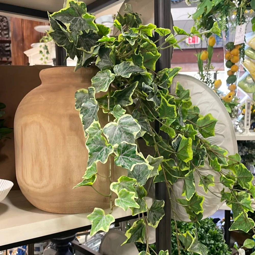 CRI Hanging Ivy Varigated, 28"