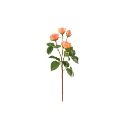 Winward Heritage Rose Spray