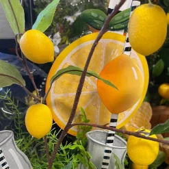 Direct Export Co. Lemon Branch