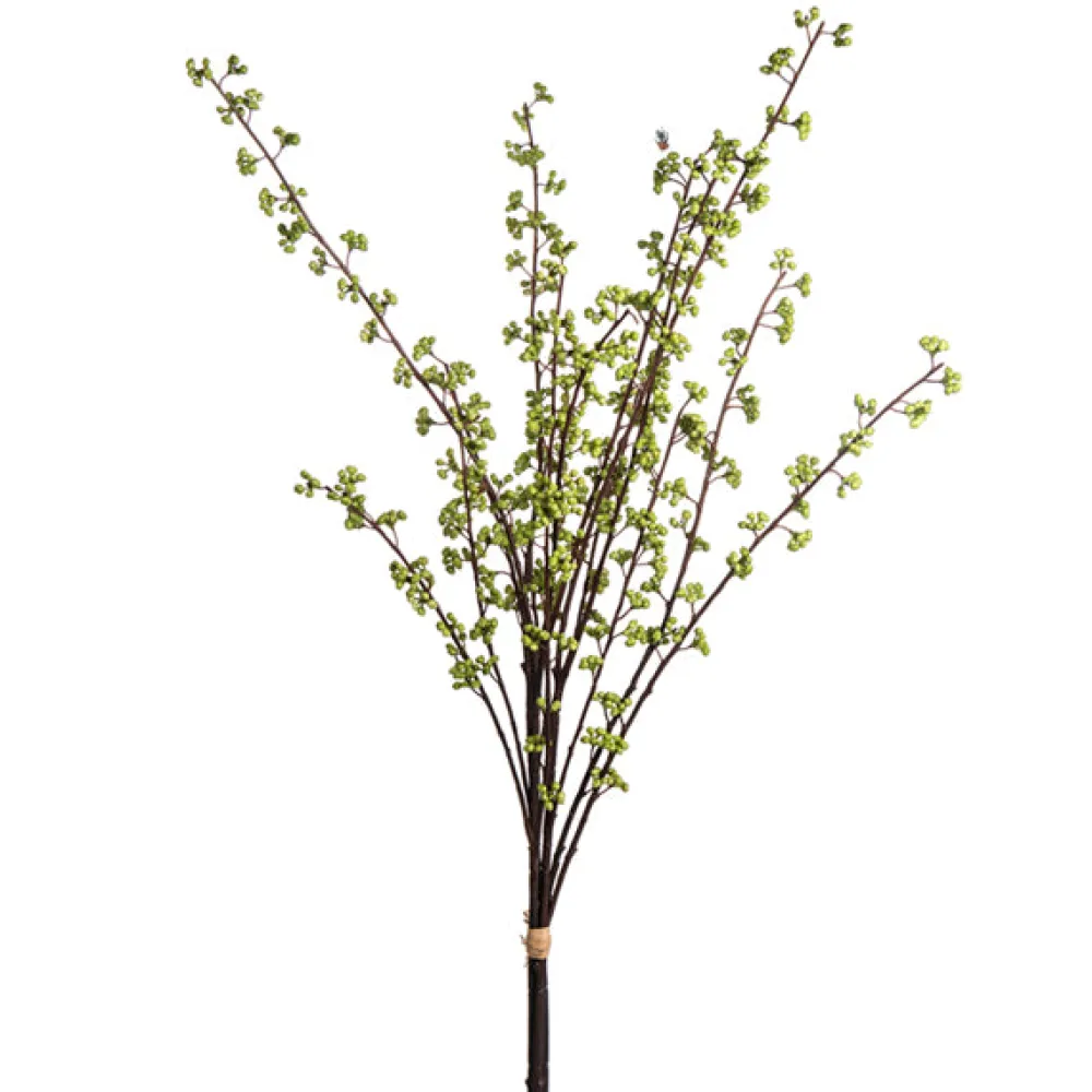 CRI Light Green Berry Bundle