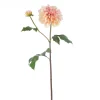 Winward Light Mauve Dahlia Stem
