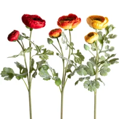 CRI Lush Ranunculus Spray