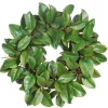 Winward Magnolia Leaf Twig Wreath, 24"