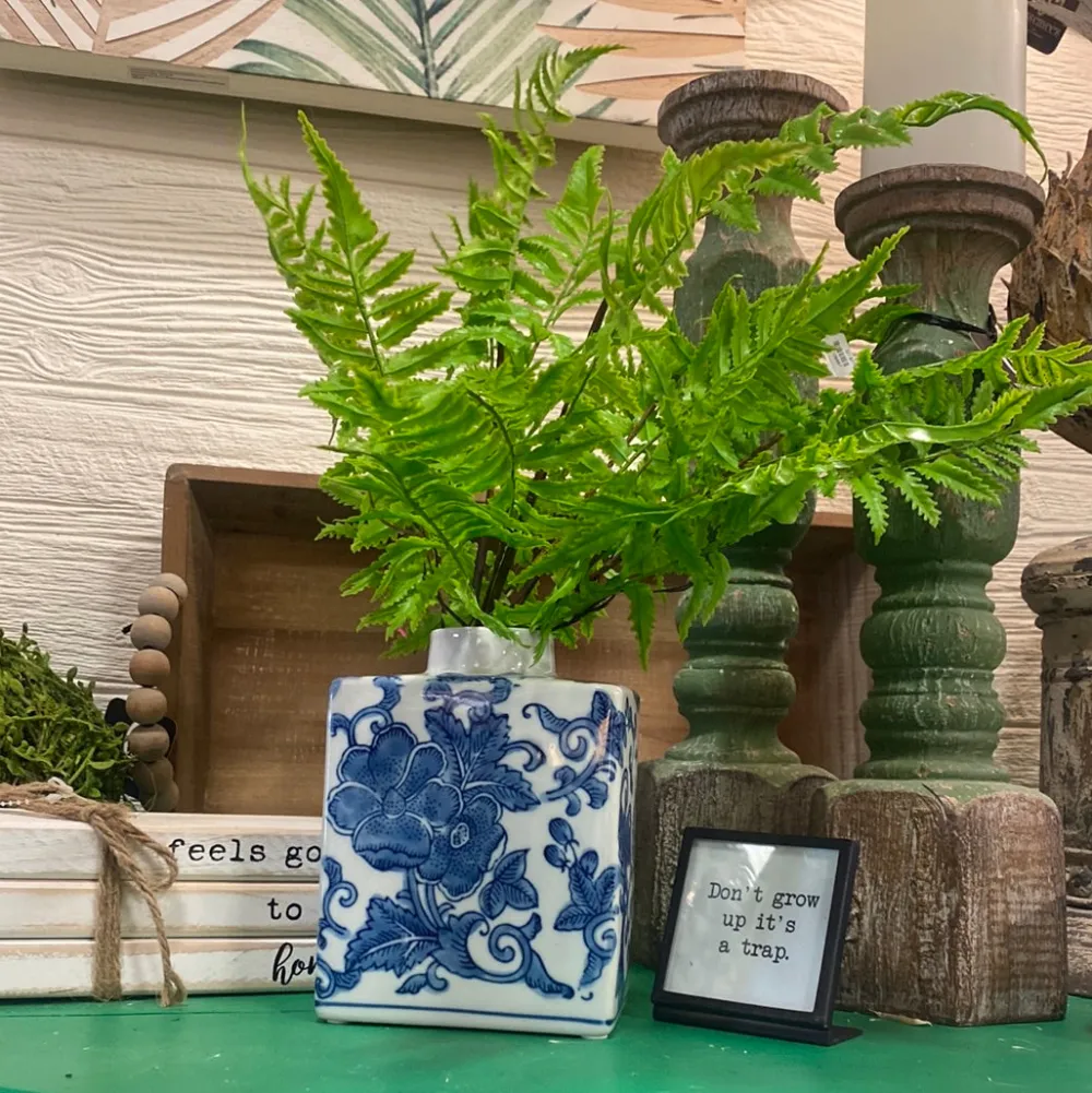 CRI Medium Boston Fern