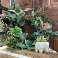 CRI Mix Succulent Wreath 6"