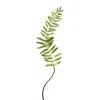 Regency Narrow Fern Frond 48"