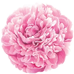 Hester & Cook Peony Placemat Set