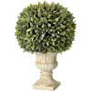 Regency Potted Sage Ball Urn Arrangement, 15"