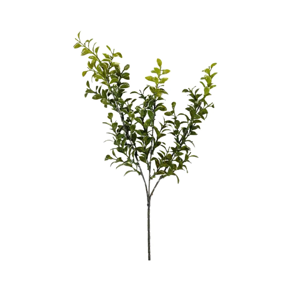 CRI Privet Leaf Spring Green 27"