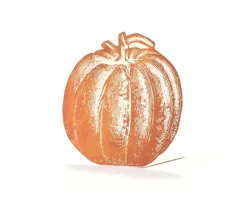 Hester & Cook Pumpkin Place Card Set