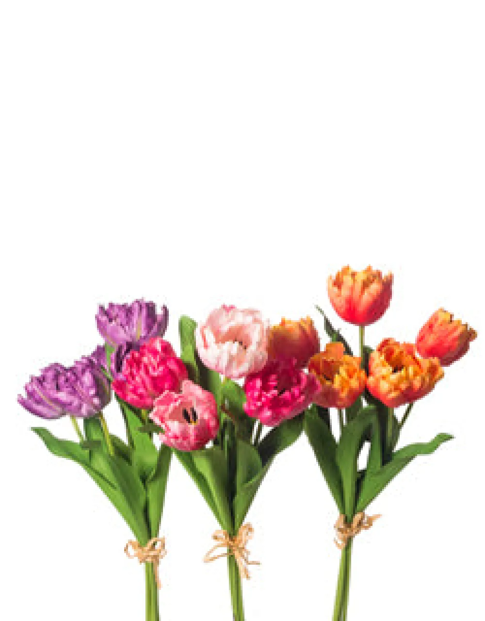 CRI Purple Tulip Bundle, 27"