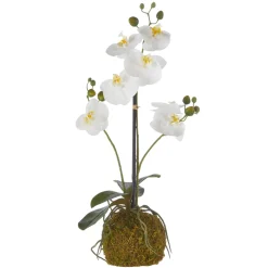 RAZ Real Touch White Orchid with Moss Ball, 24"