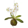 RAZ Real Touch White Orchid with Moss Ball, 15"