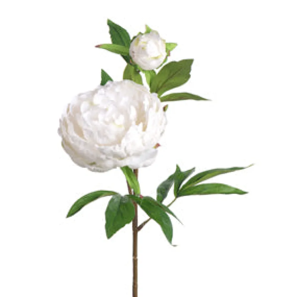 CRI Real Touch White Peony