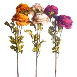 CRI Royal Ranunculus Stems