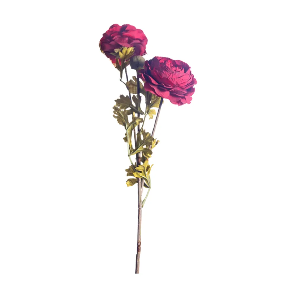 CRI Royal Ranunculus Stems