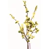 Direct Export Co. Sage Mix Dew Berry Spray