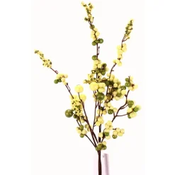 Direct Export Co. Sage Mix Dew Berry Spray