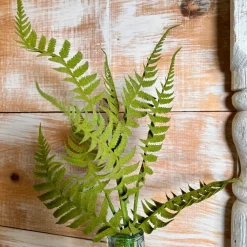 Liberty Floral Short Fern Spray