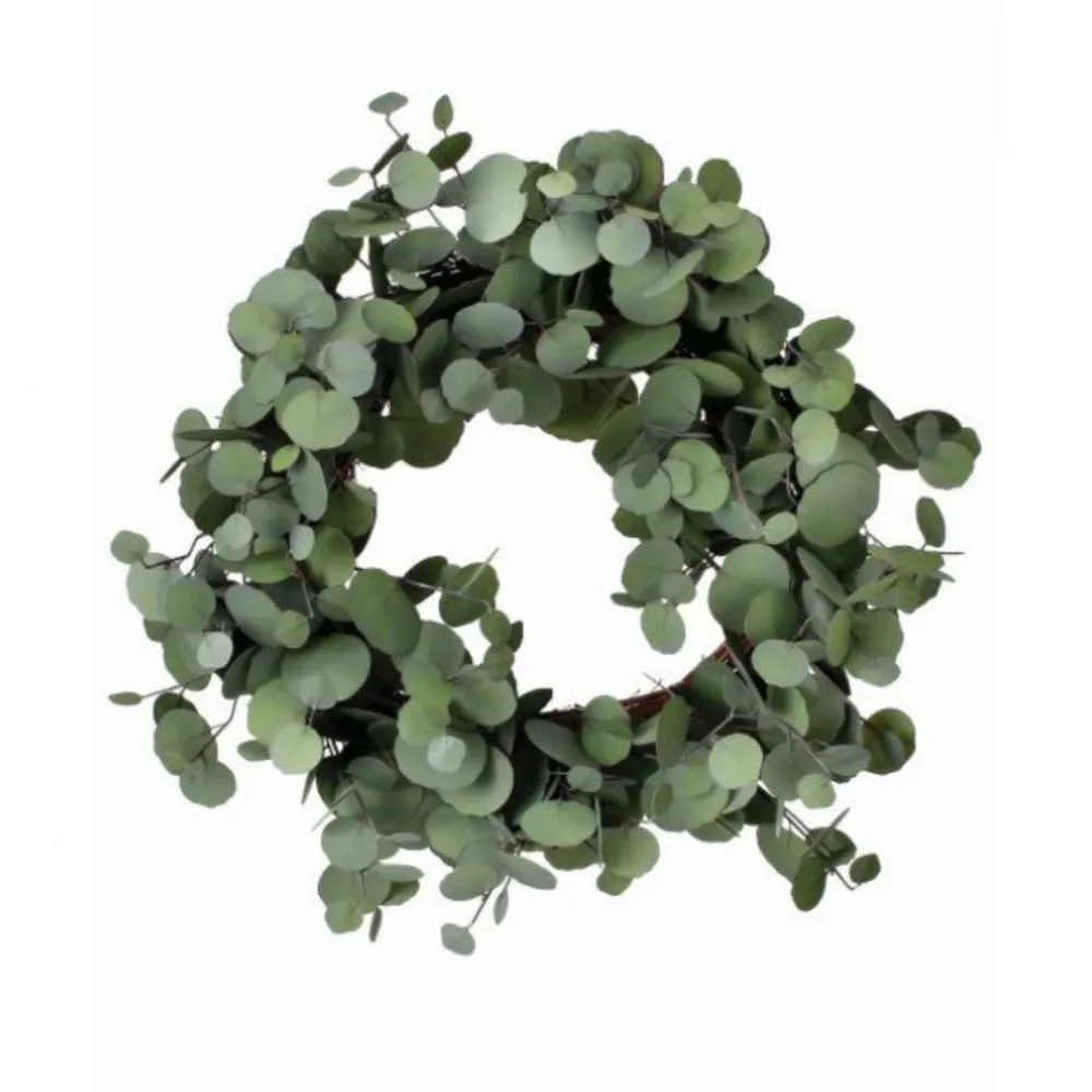 Regency Silver Dollar Eucalyptus Wreath, 24"
