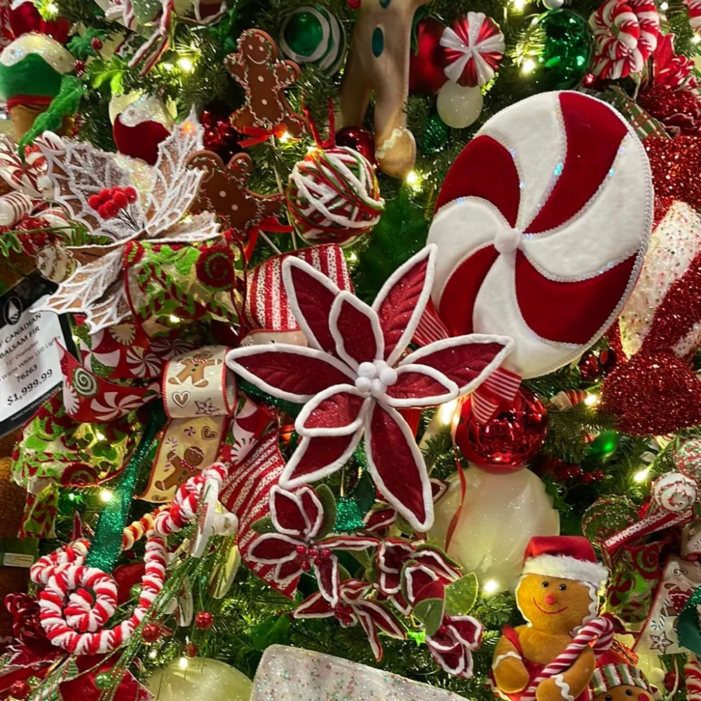 Regency Snow Edge Poinsettia Stem