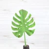 Liberty Floral Split Philo Leaf Large Stem