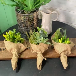 CRI Succulent Bouquet Three Piece Set